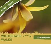 Wildflower Walk