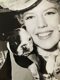 Favorite this post feb 19 american staffordshire puppy. Vintage Press Photo Actress Sally Fraser With Adorable Boston Terrier Pups Ebay