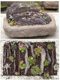 как сделать альпийскую горку на даче своими руками фото Pin Na Doske Sukulenty