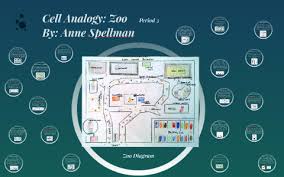 Decamp professor of bioethics at princeton university.he specialises in applied ethics and approaches ethical issues from a secular, utilitarian perspective. Zoo Cell Analogy