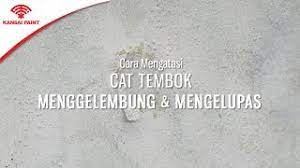 Mengelupas lapisan cat langkah pertama adalah mengelupas lapisan cat dinding yang memiliki tembok retak rambut hingga bersih. Cara Mengatasi Cat Tembok Menggelembung Dan Mengelupas Youtube