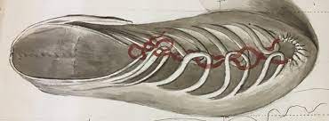 Doctors in 147 specialties are here to. Exquisite Things And Everyday Treasures In Bog Bodies