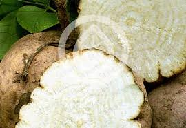 Image result for Pueraria