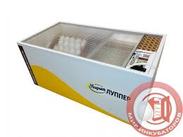 Ожирение и метаболизм-клинические рекомендации