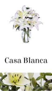 What is important is the weight of evidence that impelled me to take the steps i did. Zodiac Signs And Flowers Cancer