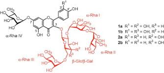 Image result for Bobgunnia madagascariensis
