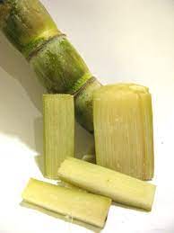 Maybe you would like to learn more about one of these? Sugar Cane Chew It For The Juice Then Spit Out The Spent Fibers My Dad Grew This For A Living He Made Syrup Sugar Cane Sugarcane Puerto Rican Recipes