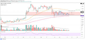 The price then fell to $0.15 by late march and experienced a slight market. Xrp Price Prediction Ripple Fears Of A Major Decline Are Unwarranted
