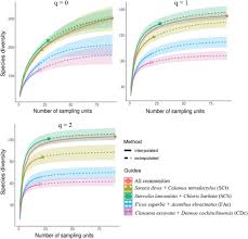 Image result for Cissus nigropilosa