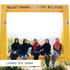 Datang ke ladang teh untuk anda melihat panorama hijau daun teh yang pasti sangat indah dan damai. Tempat Menarik Di Sabah Untuk Dilawati Destinasi Percutian