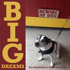 Coffee table books are a great way to add style and interest to your home. Unpublished Coffee Table Books The Dog Edition Medium Large