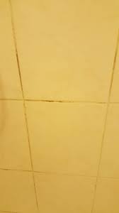 In addition to the entire range of services offered by our hotel, which includes a wellness oasis, recognized fresh food and our own patisserie, we also contribute all our experience in event organization in order to travel stories around the royal inn park hotel fasanerie neustrelitz. 20180613 153339 Large Jpg Bild Von The Royal Inn Park Hotel Fasanerie Neustrelitz Tripadvisor