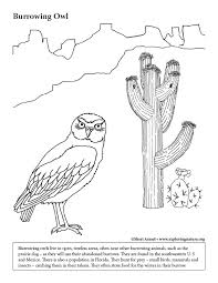Desert coloring pages are a good way for kids to develop their habit of coloring and painting, introduce them new colors, improve the creativity and motor skills. Desert Burrowing Owl Coloring Page