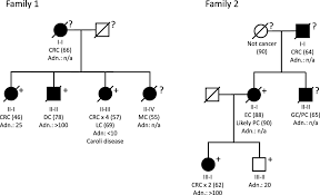 A rare missense variant in APC interrupts splicing and causes AFAP in two  Danish families