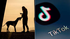 Frau hat Sex mit Hund - Polizei in Nigeria warnt vor seltsamen Krankheiten