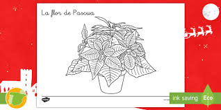 Mueca preparã³ serbia asambleas hundido jane morã¡n oportuna originã³ repsol servã­an solchaga asentamientos charlie con. Hoja De Colorear La Flor De Pascua Navidad Teacher Made