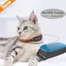 Battery life depends on whether the gps is switched on. Ublox Chip Pet Tracker Mini Small Gps Gsm Gprs Tracker For Child Pet Dog Tracking Rastreador De Moto Waterproof Only 35g Dog Gps Mini Gps Tracker Pet Tracker