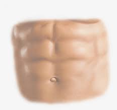 We did not find results for: Six Pack Abs Png For Picsart Transparent Png 1024x1024 Free Download On Nicepng
