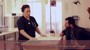 Pire Damlasi Nasil Uygulanir Youtube