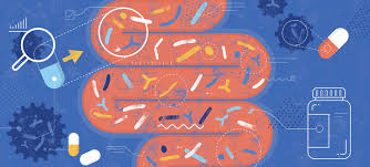 Should You Be Taking a Daily Probiotic Supplement? | Moffitt