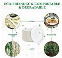 100% Compostable Oval Paper Tray Super Strong Disposable Paper Tray Bagasse Natural Biodegradable Eco-friendly Sugar Cane Tray for BBQ, Party, Party ...