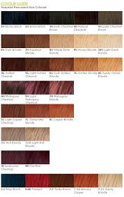 Pin By Billie Schroer On Hair Hair Color Guide Healthiest