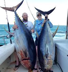 The tuna saku is mosly served as raw or seared meat. Pin By Jerome Ranft On Fish Fishng Fish Fishing Pictures Fishing Report