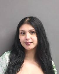 NAME: GERSTENKORN MACKENZIE R 02/29/2000 F W Booking Date: 02/28/2025  Charges: CAUSE BODILY HARM Bond: $NO BOND 📷 SOURCE: VOLUSIA COUNTY  CORRECTIONS Notice: “This content is released in the Public Domain and