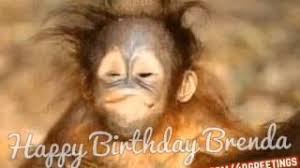 Maybe you would like to learn more about one of these? Happy Birthday Brenda Youtube