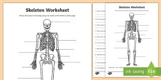 Skeleton serves as the reservoir of many minerals, like calcium and phosphate. Joints And Their Movements Worksheet Science Worksheet