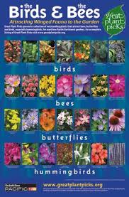 Butterflies love the long panicles of bright flowers on the butterfly bush and the shrubs are very easy to grow. Plants That Celebrate Spring Link To Great Plant Picks Lists And Search Page Butterfly Garden Design Hummingbird Garden Bee Friendly Garden