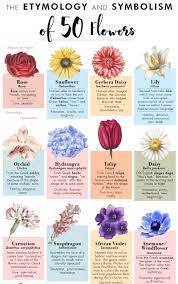 We did not find results for: Here Are The Meanings Behind 50 Common Flowers In One Chart Infographics By Graphs Net
