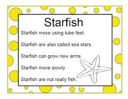 Pin By Cassi Reubens On 35 Ocean Beach Ocean Activities Ocean Theme Preschool Ocean Themes