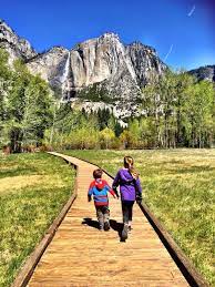 Here Are The Top Facts Of Yosemite National Park Things To Do In Yosemite With Kids National Parks Trip Yosemite Trip California Travel
