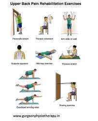 Back Rehabilitation Exercises Physiotherapy Rehabilitation Exercises Physiotherapy Exercises Physiotherapy