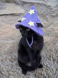 Purple Wizard Cat Hat Wizard Hat For Cat Wizard Hat For Cats Costume For Cats Hats For Cats Halloween Cat Costume Cat Accessories In 2021 Cat Accessories Cat Costumes Wizard Cat