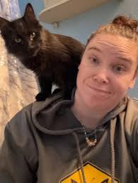 Is this your lost dog