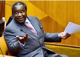 Minister of finance honourable tito mboweni tabled his budget for 2021. Political Parties Tear Into Tito Mboweni S Mid Term Budget Speech