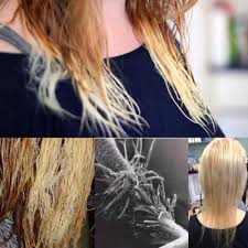 Bleaching hair at home has never been easier. How To Fix Fried Hair There Are Effective Solutions