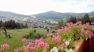 424 likes · 4 talking about this · 28 were here. Pension Haus Sonnenfels Bodenmais Holidaycheck Bayern Deutschland