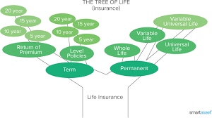 Last, consider the value you're getting in return because any life insurance plan is about leverage: Life Insurance Quotes 250k Of Coverage From 8 Mth Smartasset Com