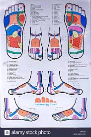 foot online charts collection