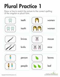 Irregular Plurals Plural Practice 1 Worksheet Education Com Plurals Irregular Plurals Nouns Worksheet