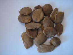 Image result for Picralima nitida