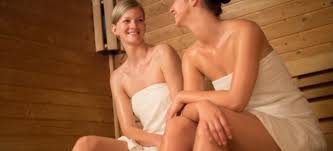 Traditional sauna heaters produce more sweat on your skin sauna heaters pores. How To Build A Sauna Heater Doityourself Com