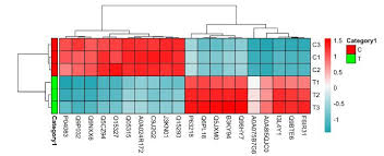 Image result for bioinformatics heatmap
