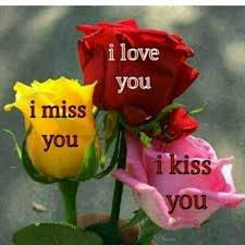 Top 10 Love Rose Images I Miss You Images Pictures For Whatsapp Facebook Instagram Love Rose Images Miss You Images Rose Images