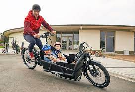 Riese Muller Ecargo Dynamic Bike Cargo Bike Ebike E Bike Kit