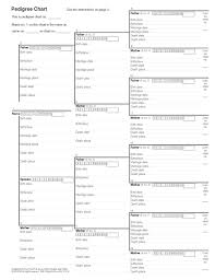 1st step fill in a pedigree chart family group record