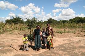 Image result for Physostigma mesoponticum